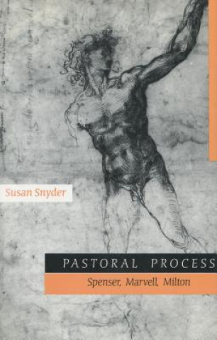 Książka Pastoral Process Susan Snyder