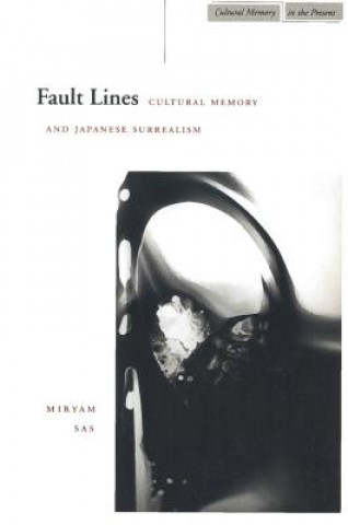 Carte Fault Lines Miryam Sas