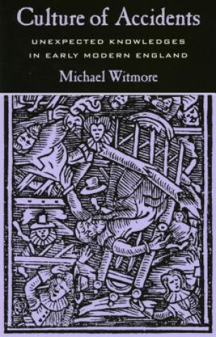Carte Culture of Accidents Michael Lawrence Whitmore