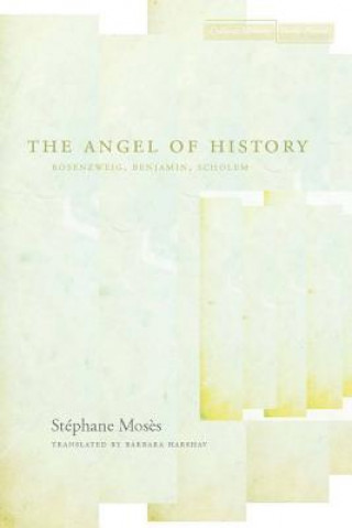 Carte Angel of History Stephane Moses