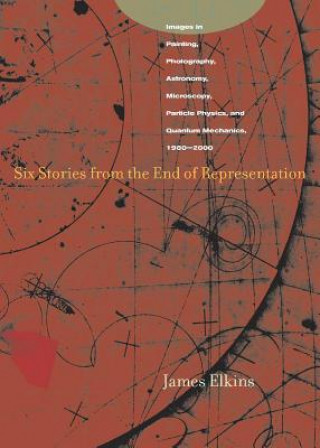 Kniha Six Stories from the End of Representation James Elkins