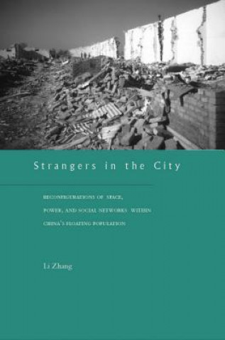 Kniha Strangers in the City Zhang Li