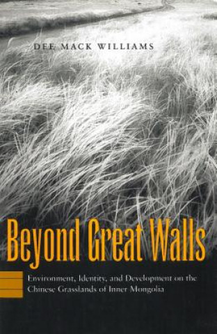 Buch Beyond Great Walls Dee Mack Williams