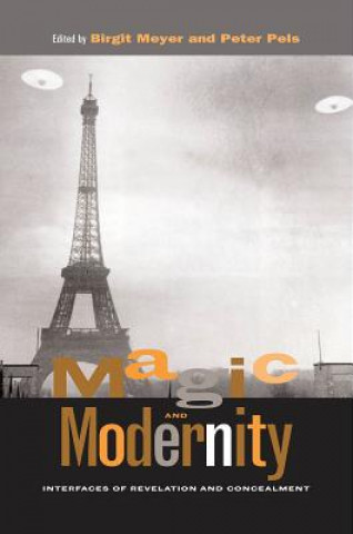 Книга Magic and Modernity Birgit Meyer