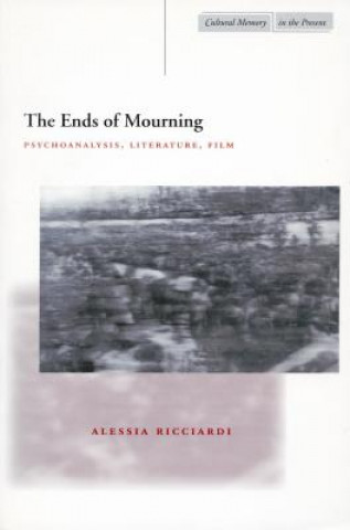 Kniha Ends of Mourning Alessia Ricciardi