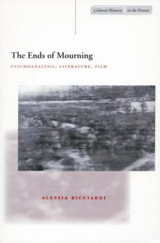 Könyv Ends of Mourning Alessia Ricciardi