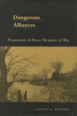 Könyv Dangerous Alliances Patricia A. Weitsman