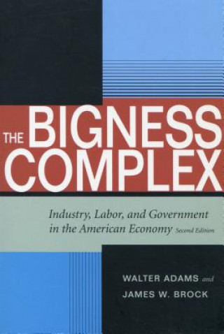 Knjiga Bigness Complex James W. Brock