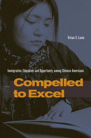 Könyv Compelled to Excel Vivian S. Louie