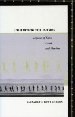 Knjiga Inheriting the Future Elizabeth Rottenberg