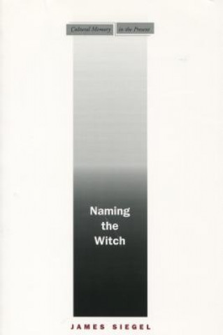 Knjiga Naming the Witch James Siegel