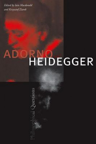 Könyv Adorno and Heidegger Iain Macdonald