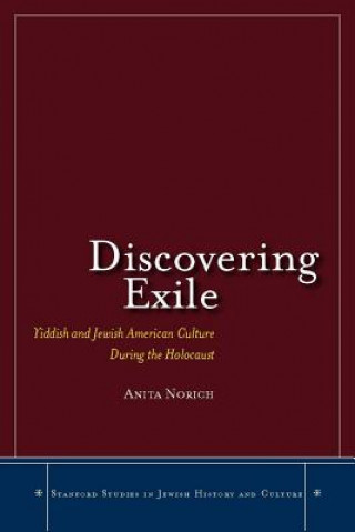 Buch Discovering Exile Anita Norich