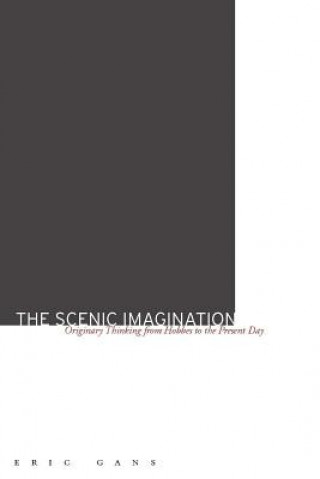 Book Scenic Imagination Eric Gans