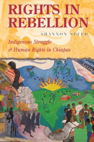 Книга Rights in Rebellion Shannon Speed