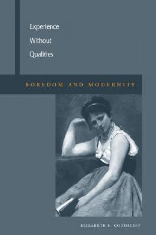 Boek Experience Without Qualities Elizabeth S. Goodstein