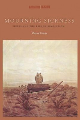 Buch Mourning Sickness Rebecca Comay