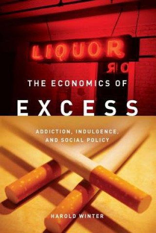 Kniha Economics of Excess Harold Winter