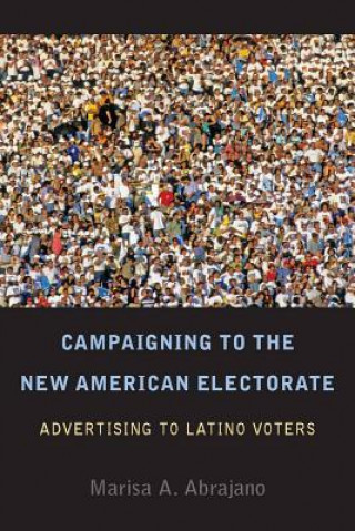 Buch Campaigning to the New American Electorate Marisa A. Abrajano