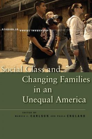 Książka Social Class and Changing Families in an Unequal America 