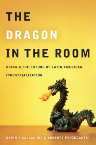 Kniha Dragon in the Room Kevin P. Gallagher