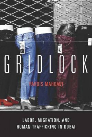 Könyv Gridlock Pardis Mahdavi