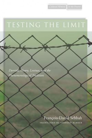 Knjiga Testing the Limit Francois-David Sebbah