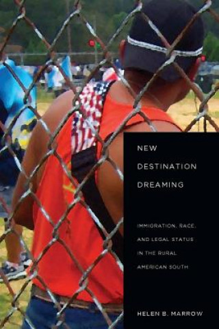 Kniha New Destination Dreaming Helen B. Marrow