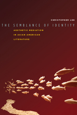 Kniha Semblance of Identity Christopher Lee