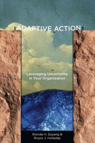 Carte Adaptive Action Glenda H. Eoyang