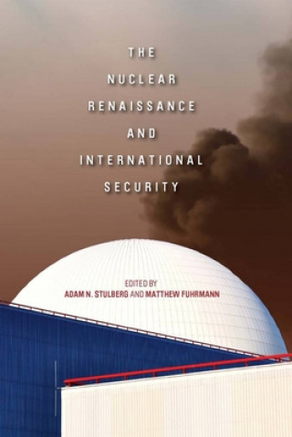 Könyv Nuclear Renaissance and International Security 