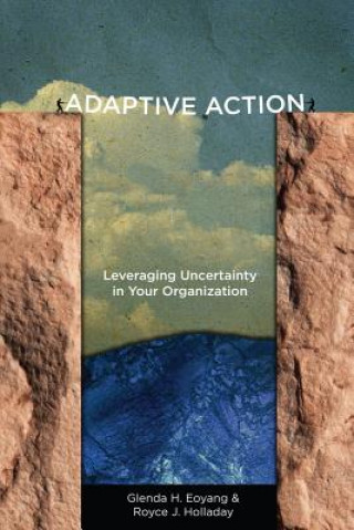 Carte Adaptive Action Glenda H. Eoyang