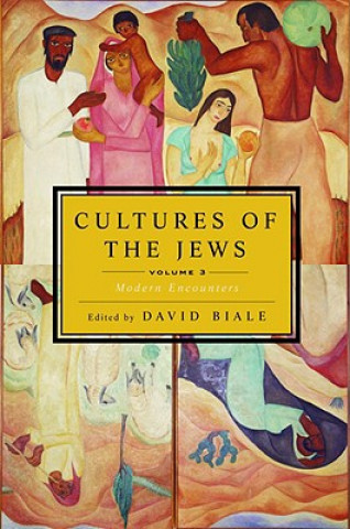 Könyv Cultures of the Jews, Volume 3 David Biale