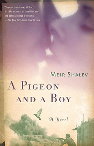 Carte Pigeon and a Boy Meir Shalev