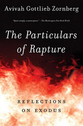 Carte Particulars of Rapture Avivah Gottlieb Zornberg