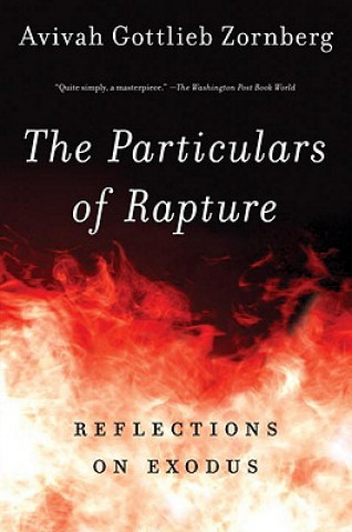 Книга Particulars of Rapture Avivah Gottlieb Zornberg