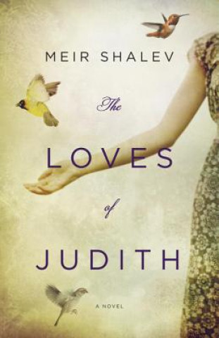 Livre Loves of Judith Barbara Shalev