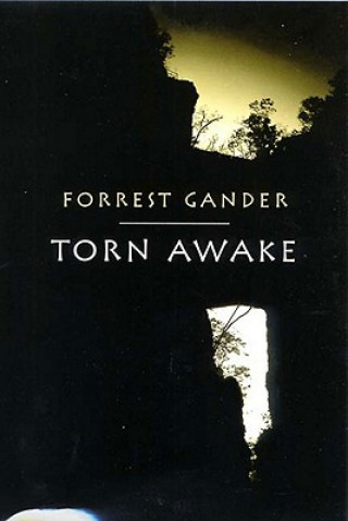 Книга Torn Awake Forrest Gander