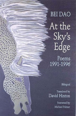 Kniha At the Sky's Edge - Poems 1991-1996 B Dao