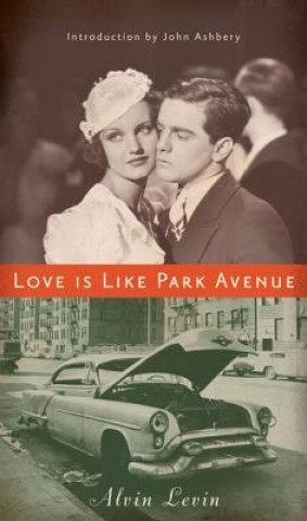 Książka Love Is Like Park Avenue Alvin Levin