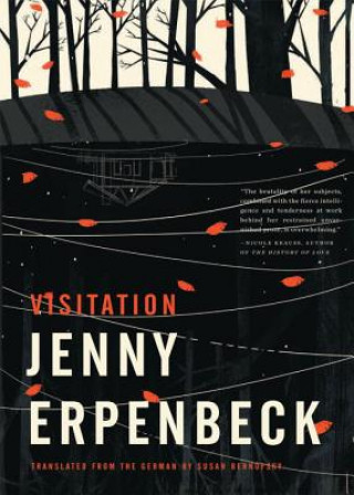 Книга Visitation Jenny Erpenbeck