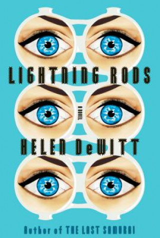 Carte Lightning Rods Helen de Witt