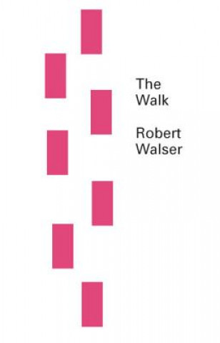 Kniha Walk Robert Walser