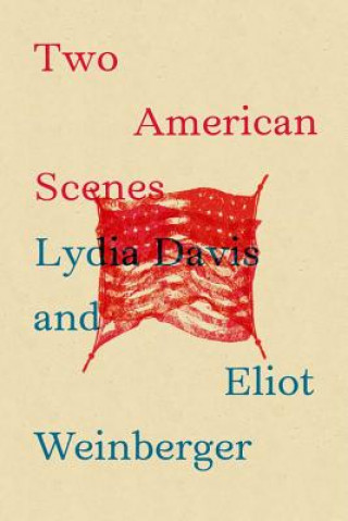 Kniha Two American Scenes Lydia Davis