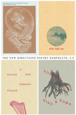 Kniha Poetry Pamphlets 5-8 Hilda Doolittle