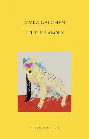 Kniha Little Labors Rivka Galchen