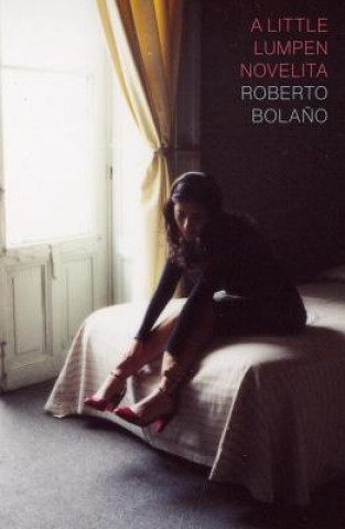 Kniha Little Lumpen Novelita Roberto Bolano
