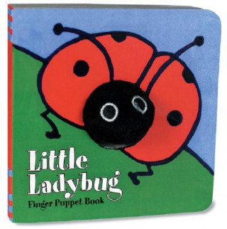 Kniha Little Labybug Chronicle Books