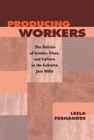 Knjiga Producing Workers Lee Fernandes