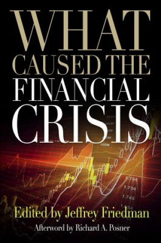 Kniha What Caused the Financial Crisis 